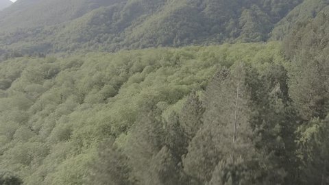 Aerial footage drone view of forest in Carrara Emilia Romagna italy // no video editing
