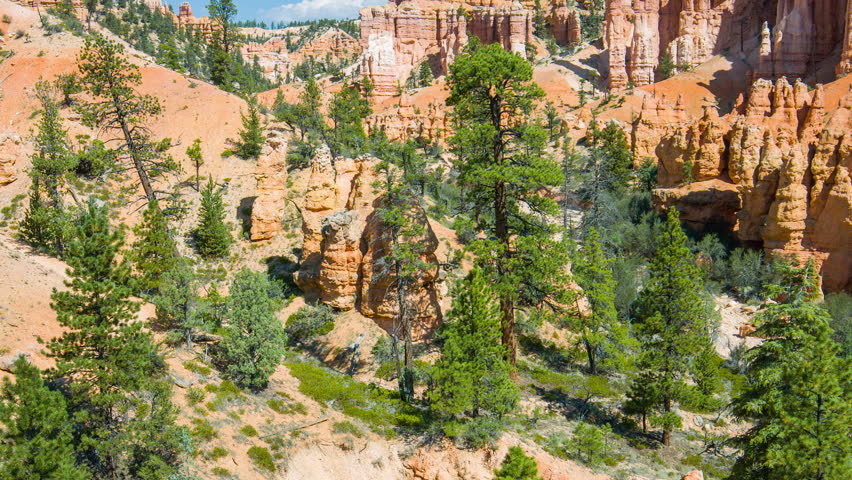 Green pine-trees on rock slopes. Spectacular view at the cliffs and cloud sky. Amazing mountain landscape. Bryce Canyon National Park. Utah. USA. 4K, 3840*2160, high bit rate, UHD