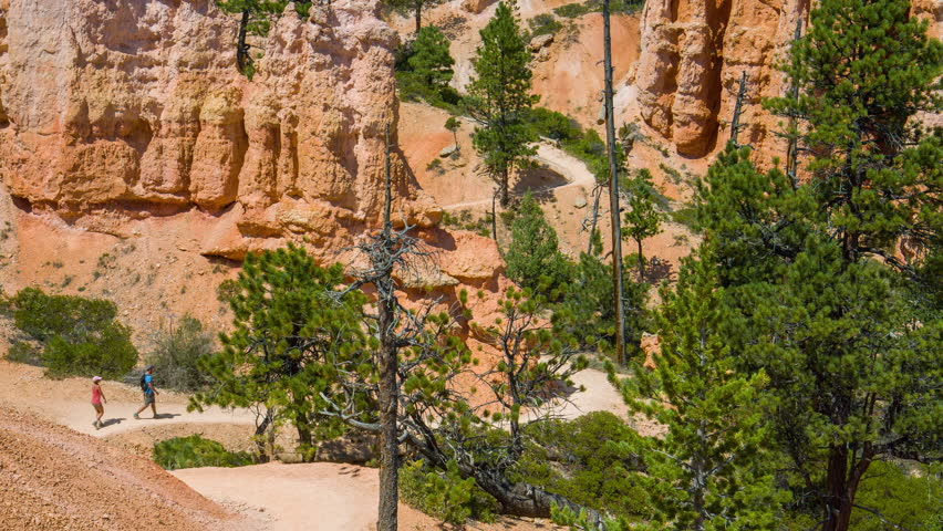 Green pine-trees on rock slopes. Spectacular view at the cliffs and cloud sky. Amazing mountain landscape. Bryce Canyon National Park. Utah. USA. 4K, 3840*2160, high bit rate, UHD