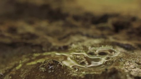 water drops on ground