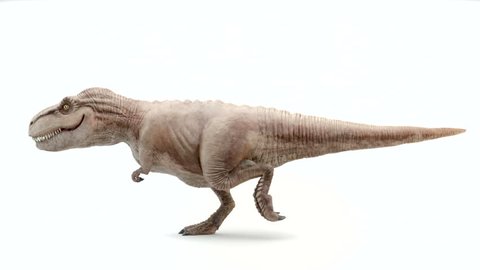 Tyrannosaurus Rex Motion Walking Stock Footage Video (100% Royalty-free ...