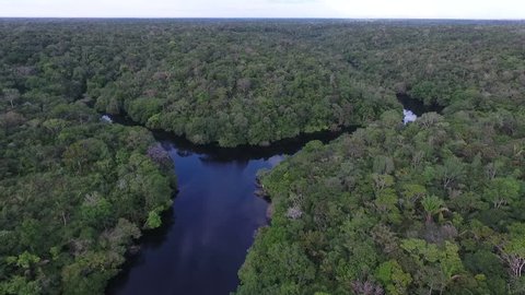 Aerial view of Amazonia Forest, near Negro River. Novo Airão, Amazonas, Brazil.