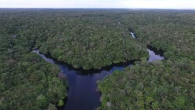 Aerial view of Negro (Black) River, Amazonia Forest. Novo Airão, Amazonas, Brazil.