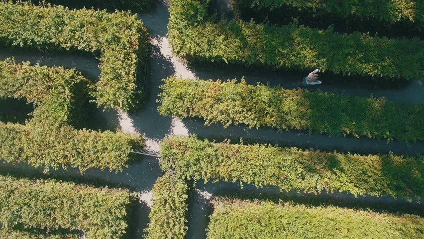 Hedge maze in city park. Labyrinth in the bushes. Beautiful summer in town, green trees. Woman is walking through a maze - 4K Drone Footage