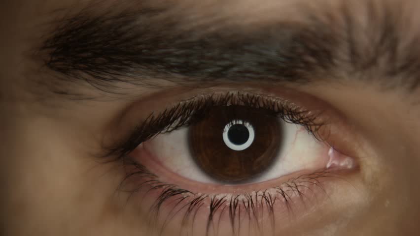 EYE MACRO CLOSEUP