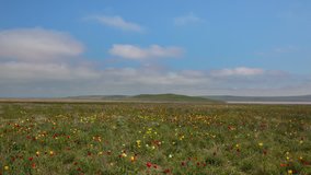 Russia, time lapse. The movement of clouds in the spring in the steppe part of the Crimea peninsula at Cape Opuk.
