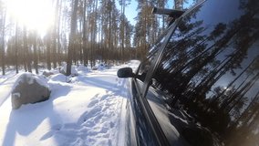 
4K.Winter car trip in dunny forest or  park, reflection of trees in  window. POV clip
