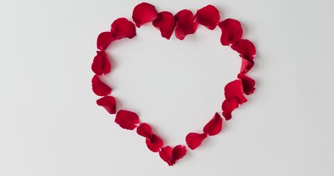 Red rose petals forming heart shape on white background. Flat lay love concept. Stop motion animation.
