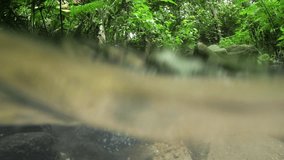 Natural. mountain stream. from a partially submerged perspective. flowing through a jungle wilderness area in Phuket. Thailand. 4k video with sound.