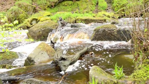 Footage of a rapid river flowing through a gorge in the forest