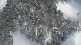 Aerial footage.4K. Flight above winter forest, aerial top view.