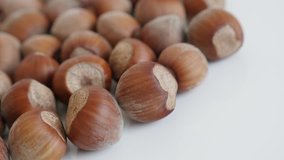 Ripe hazelnuts on white background slow pan 4K 2160p 30fps UltraHD footage - Pile of nuts of the species Corylus avellana close-up 3840X2160 UHD panning video