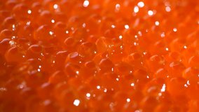 Red Caviar rotated background. Close-up salmon caviar rotation. Delicatessen. Texture of caviar. Backdrop. Seafood. 4K UHD video