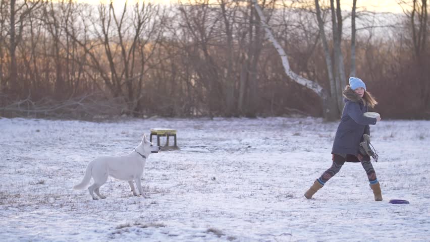 Dog fetching a disc thrown by the owner - an active lifestyle woman. Winter snowy field in slow motion