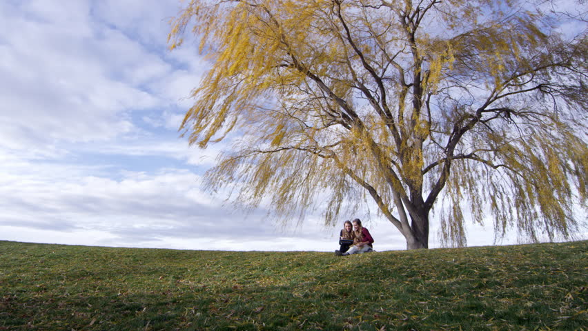 Wide view of young women sitting under golden tree blowing in the breezy on a sunny day.