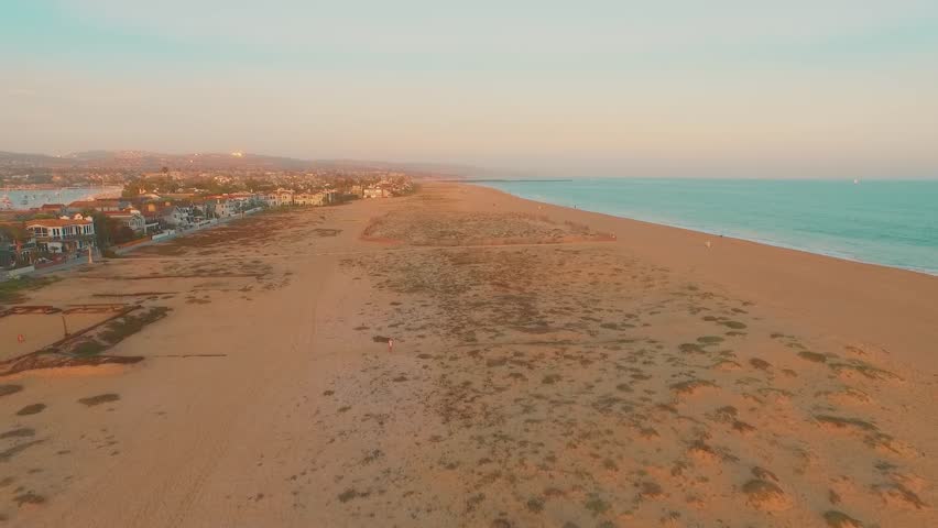 Seagull flying down the California coast in Orange County over the beach on sunny day.