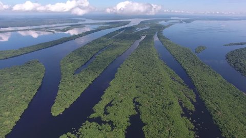 Aerial view of Anavilhanas, the biggest fluvial archipelago of the world, at Negro River, Amazon jungle, Novo Airão city, Amazonas, Brazil