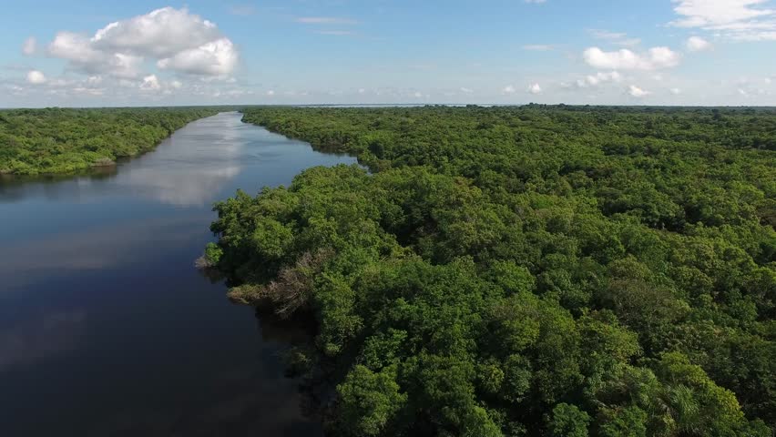 Aerial view of Anavilhanas, the biggest fluvial archipelago of the world, at Negro River, Amazon jungle, Novo Airão city, Amazonas, Brazil | Shutterstock HD Video #1007344147