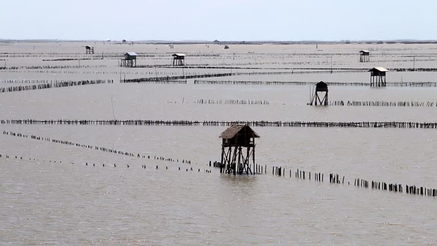 Fishing Grounds On The Shallow In The Sea