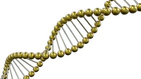 DNA golden chain rotate on white background isolated. Medical science and genetics concept video. 3d render illustration