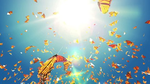 Spring or Summer sky, Monarch Butterfly Swarm flying on sun, Slow motion butterfly close up. Best for Spring and Summer Sale background with alpha matte mask loop. 