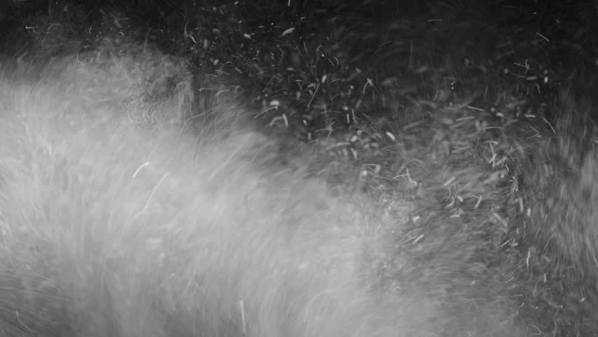 Dust Particles. Natural Floating Organic Stock Footage Video (100% ...