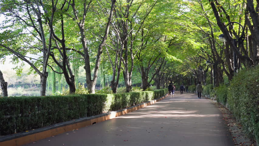Residents of Seoul jogging and walking in beautiful park at downtown of Seoul, South Korea.
