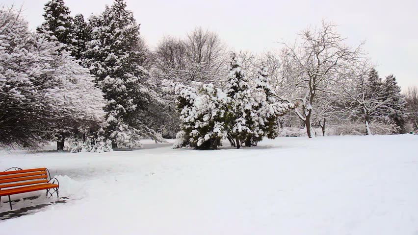 winter bench in the park