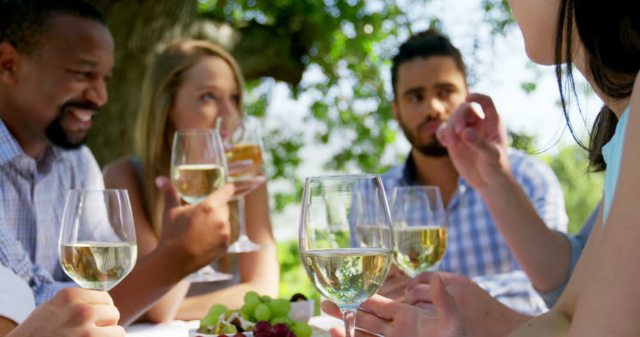 Group of friends interacting with each other while drinking wine at outdoor restaurant | Shutterstock HD Video #1007421604