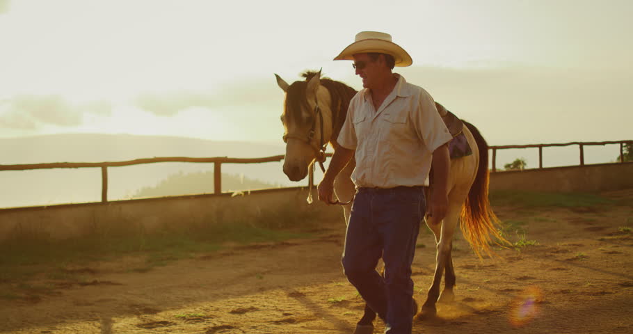 cowboy-on-horse-at-rodeo image - Free stock photo - Public Domain photo ...