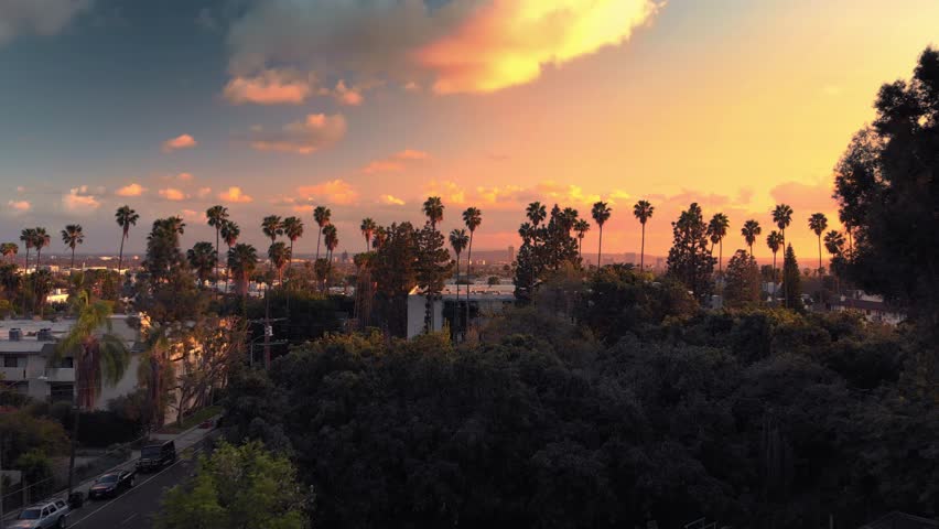 Aerial view flying over row of palm trees in Hollywood, revealing city of Los Angeles cityscape skyline at sunset. 4K UHD. Royalty-Free Stock Footage #1007443216