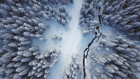 Switzerland winter landscape aerial shot / Cinematic flight over a pine forest covered with snow
