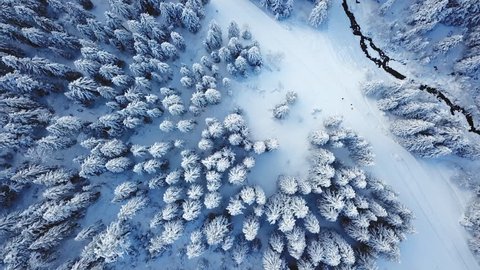 Winter season snowy mountain forest aerial shot / Breathtaking natural landscape, frozen forest and dark mountain river