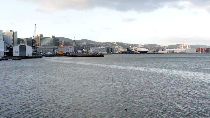 Auckland city bay landscape
