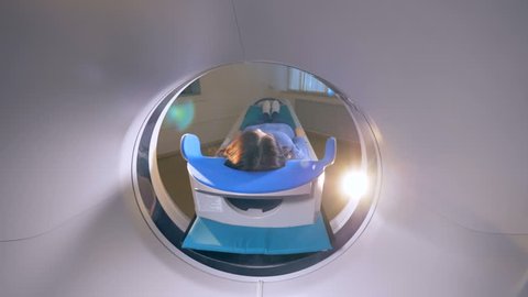 MRI scanner, tomograph with patient getting medical exam. Coronavirus, COVID-19, 2019-nCoV concept.
 Arkivvideo