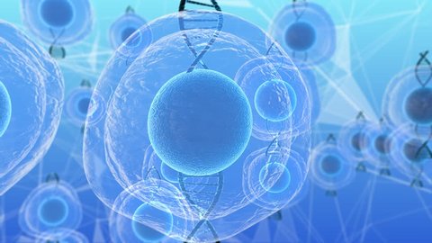 Human embryonic stem cells molecular biochemistry research technology