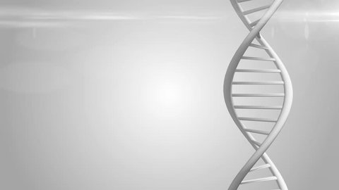  Genetic manipulation DNA repair mechanisms genetic engineering