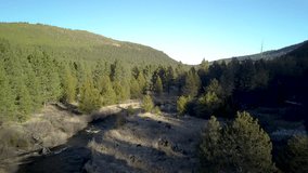 Aerial drone flyby of beautiful summer mountain forest landscape with fast river