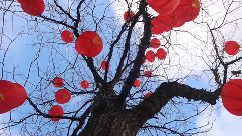 Chinese lanterns hanging in a tree in Liverpool One shopping centre to celebrate the Chinese new year in February 2018.