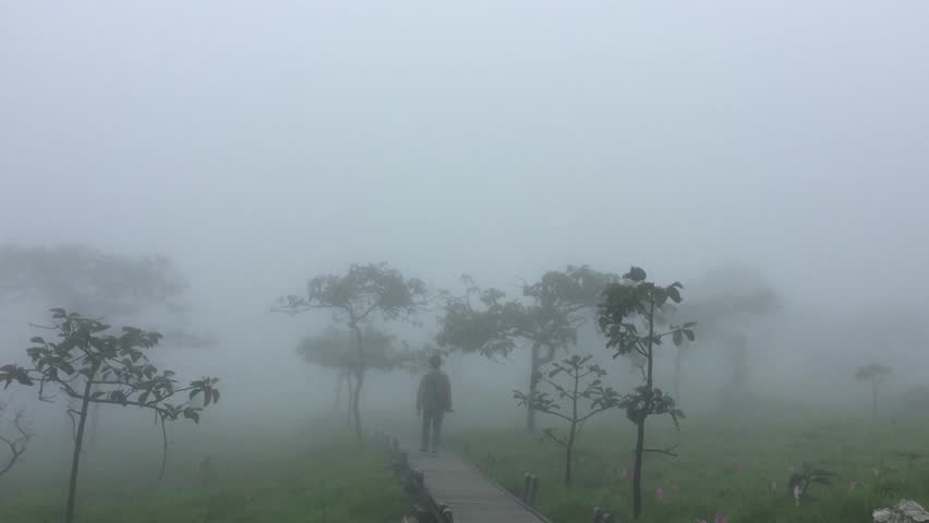a man walking on wooden path way in the forest with the mist sky, full fog ambient, fresh nature relaxing footage.  