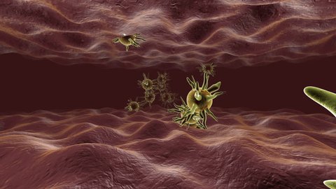 Animation of Viruses infecting tissue in the human Body.
 Video stock