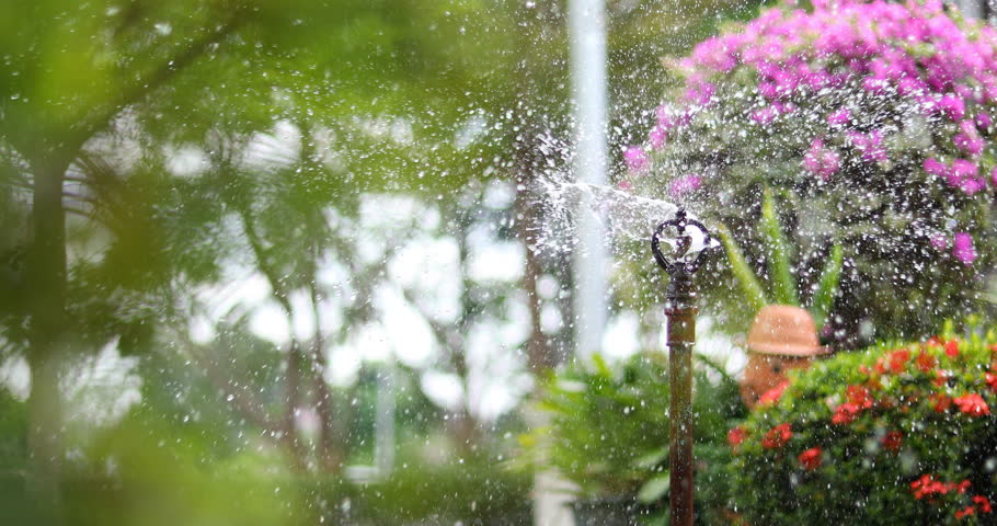 Sprinkler splashing water in green garden | Shutterstock HD Video #1007538817