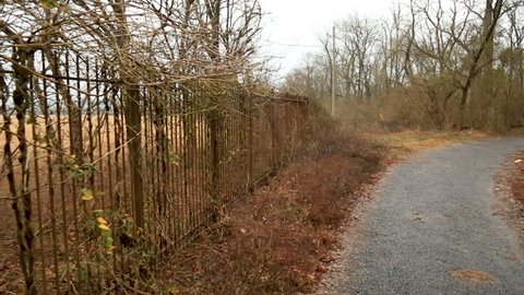 Steep Hillside In A Forest Stock Footage Video 100 Royalty Free Shutterstock