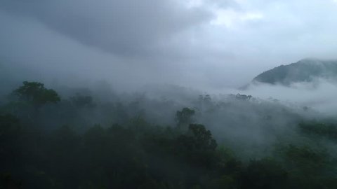 Flying above a jungle with clouds and mist