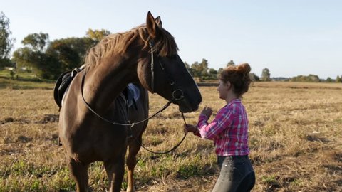 Attractive girl teenager leads a horse around. Long shot, contour, real time, outdoor, outdoors in the field, summer, autumn, dry season, natural light