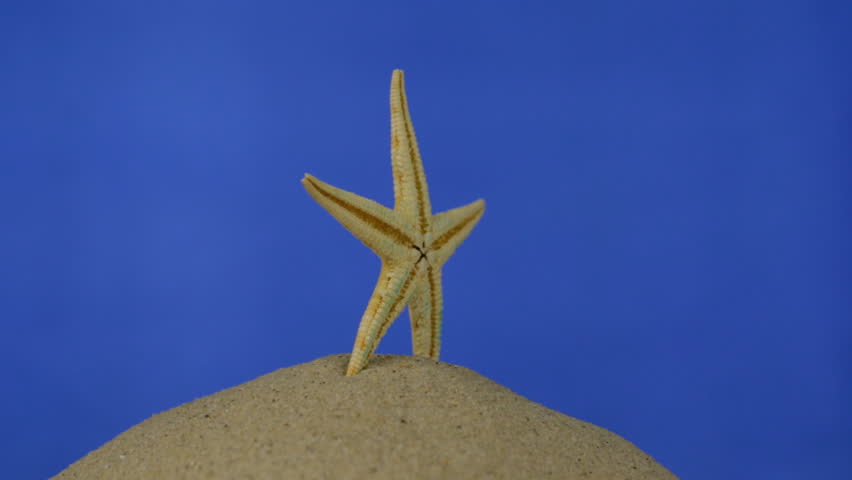 Rotation, light yellow, beautiful starfish on sand. Isolated