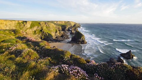 Summer time in Cornwall with sea thrift in bloom on cliffs above Bedruthan Steps on the South West Coast Path between Padstow and Newquay