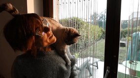 Slow motion: domestic cat playing on the shoulder of smiling beautiful woman. Indoors setting. 