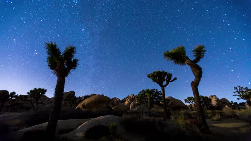 Joshua Trees night 4k timelapse with star trails, Joshua Tree National Park, California