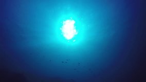 Underwater blue ocean background with sunbeams
